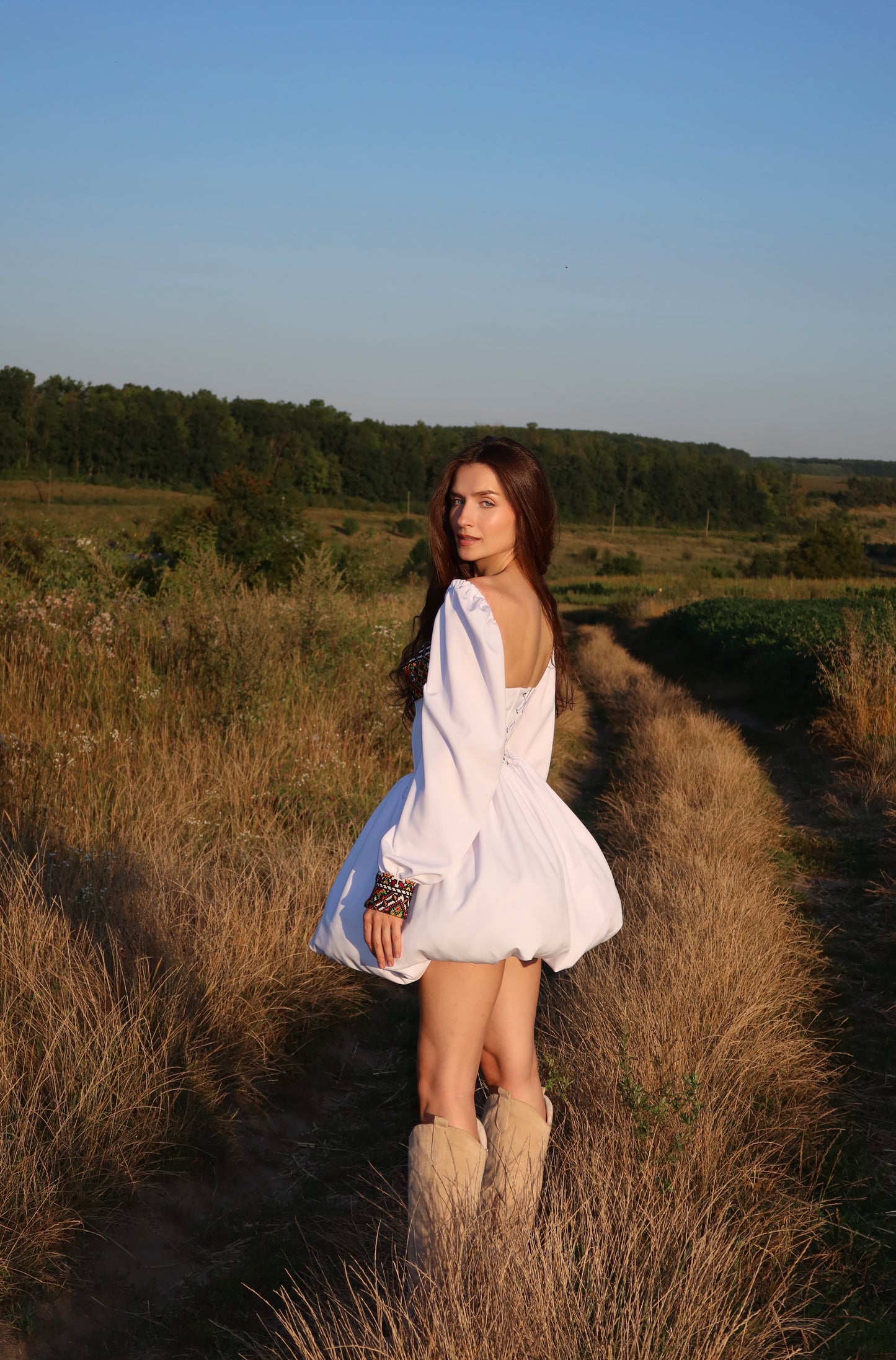 Сукня Лель з рукавами
